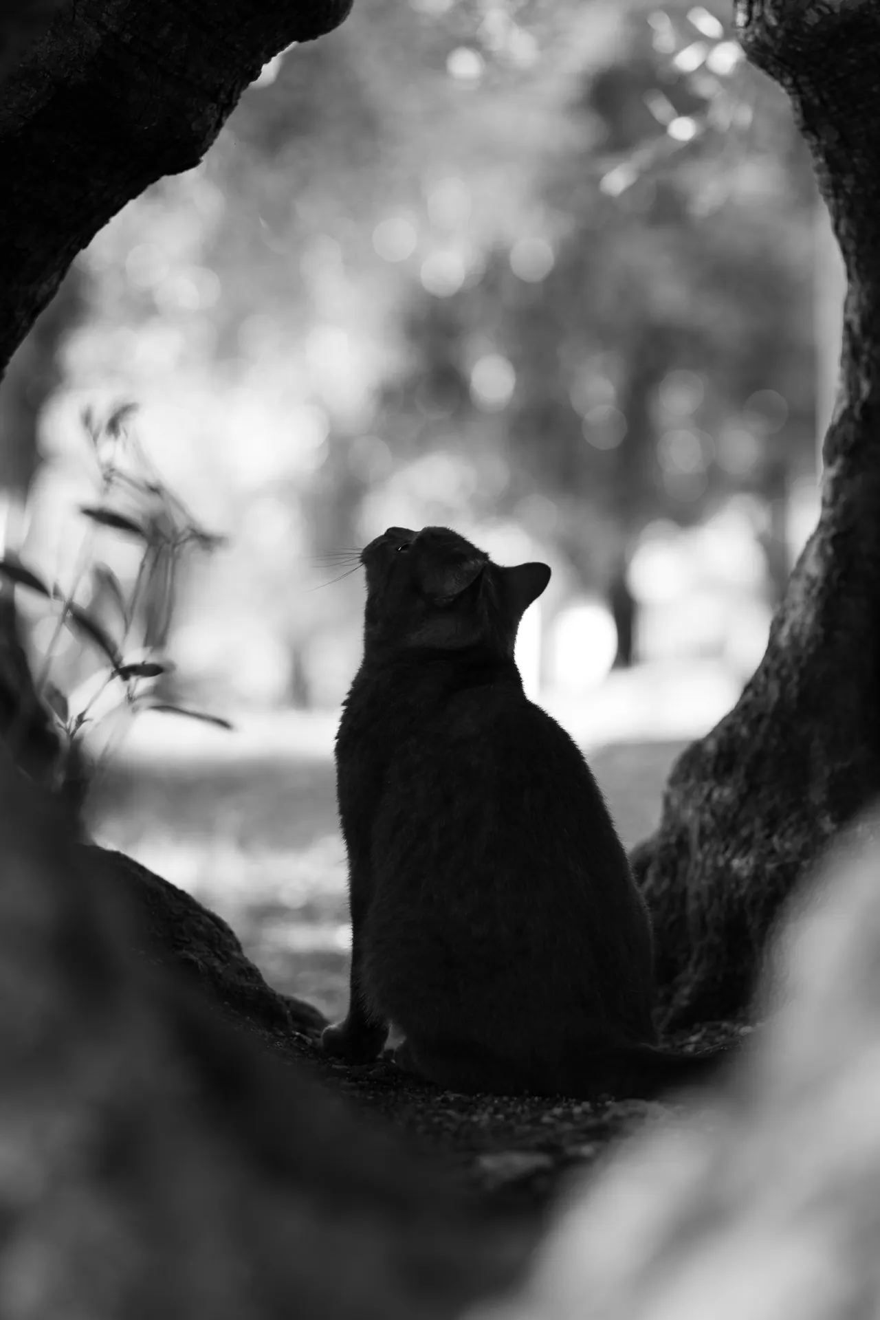 Personal travel photography from a trip to Italy (4)