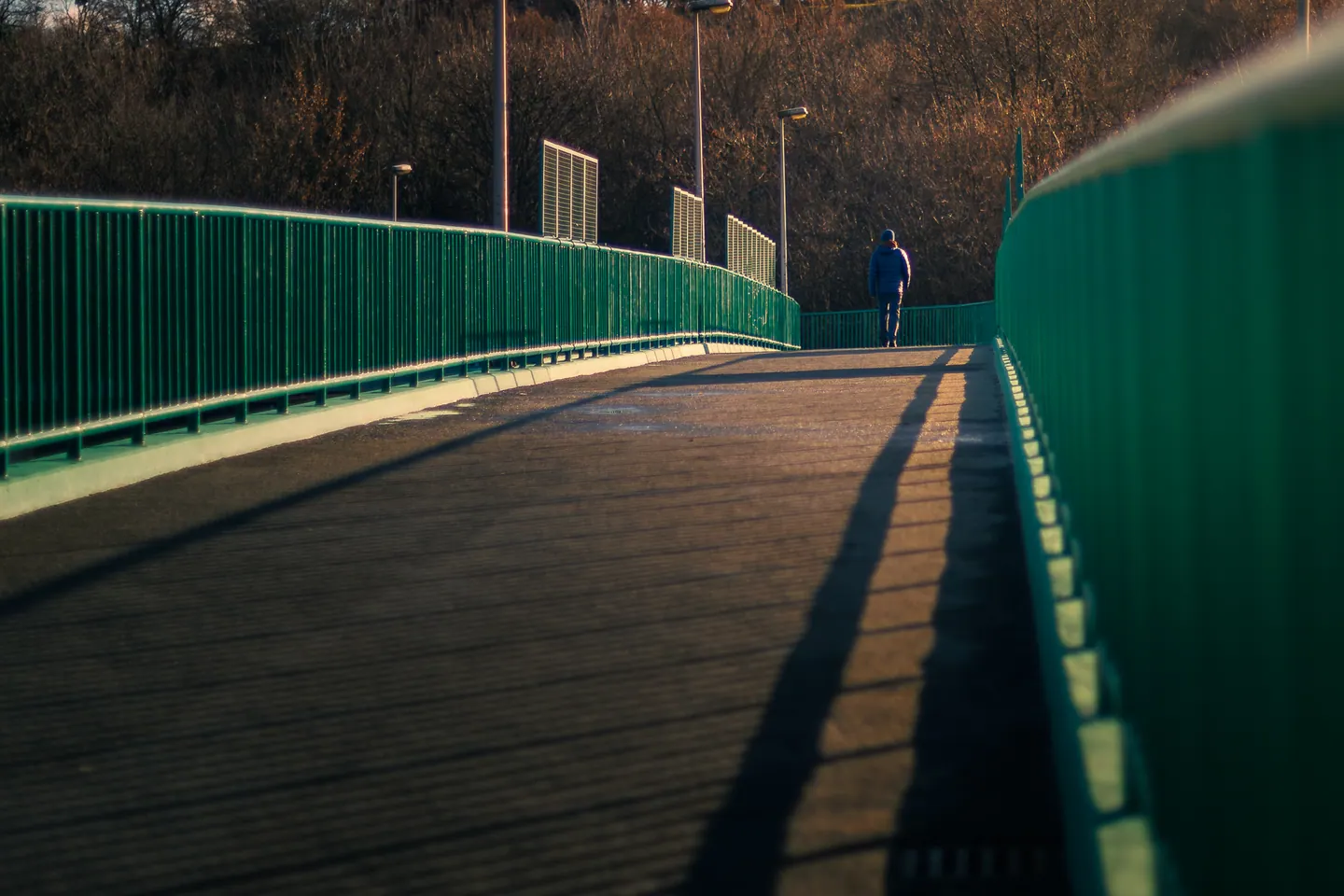 Personal photographs taken during a winter walk through the city (1)