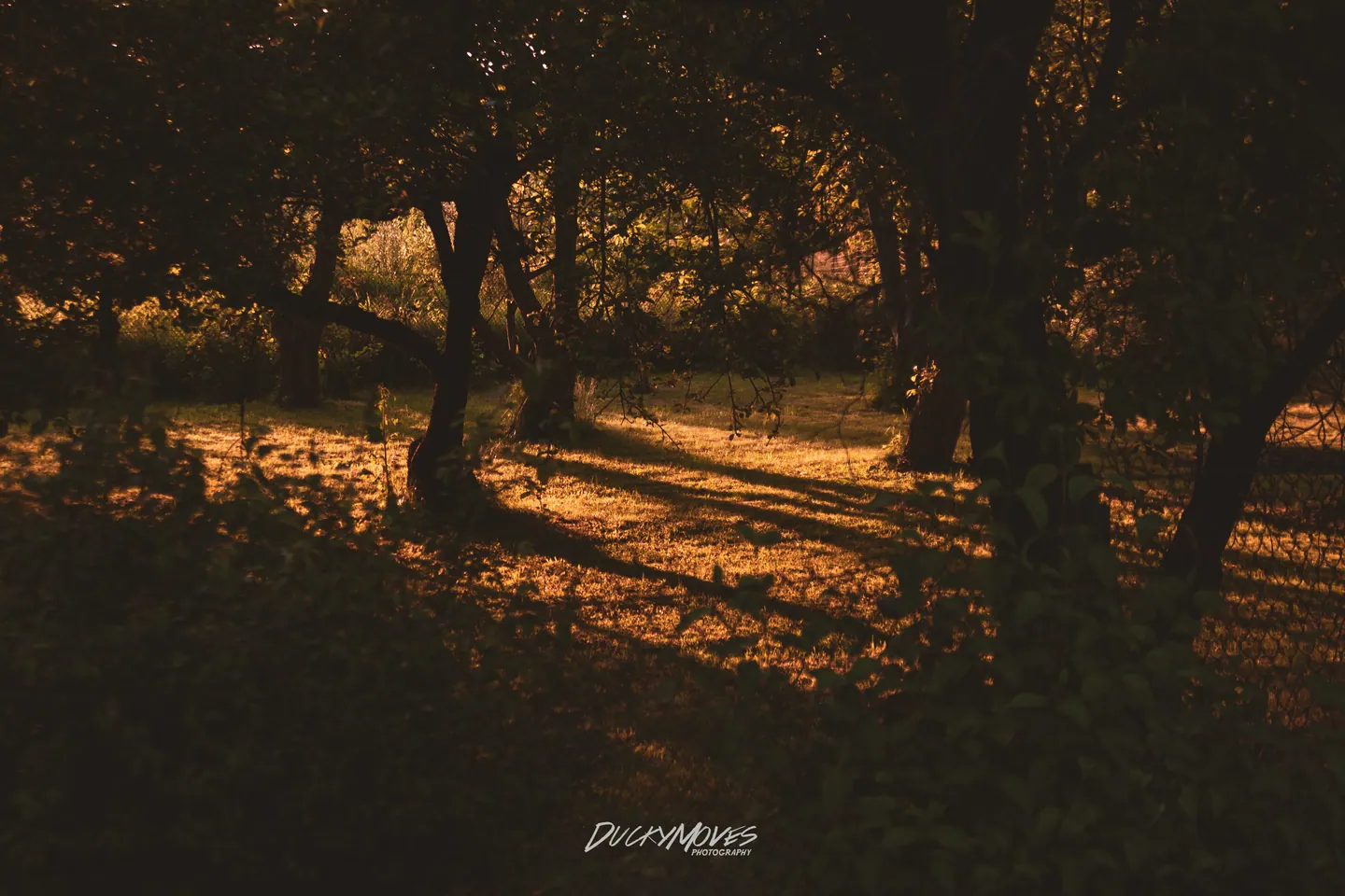A return to nature photography after exploring the city (1)