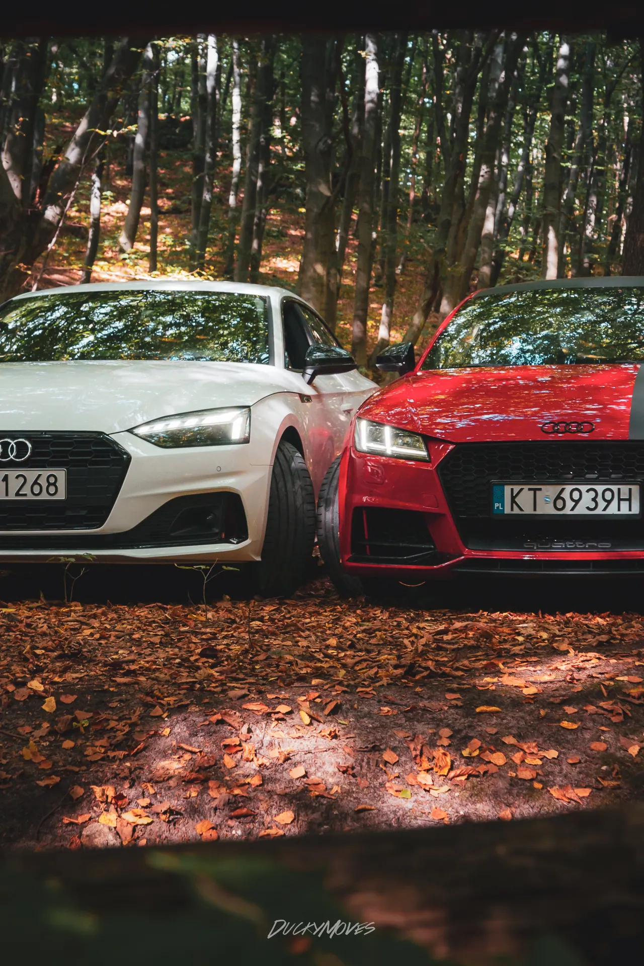 Another Chevrolet Camaro photo shoot created in Tyniec in 2023 (3)