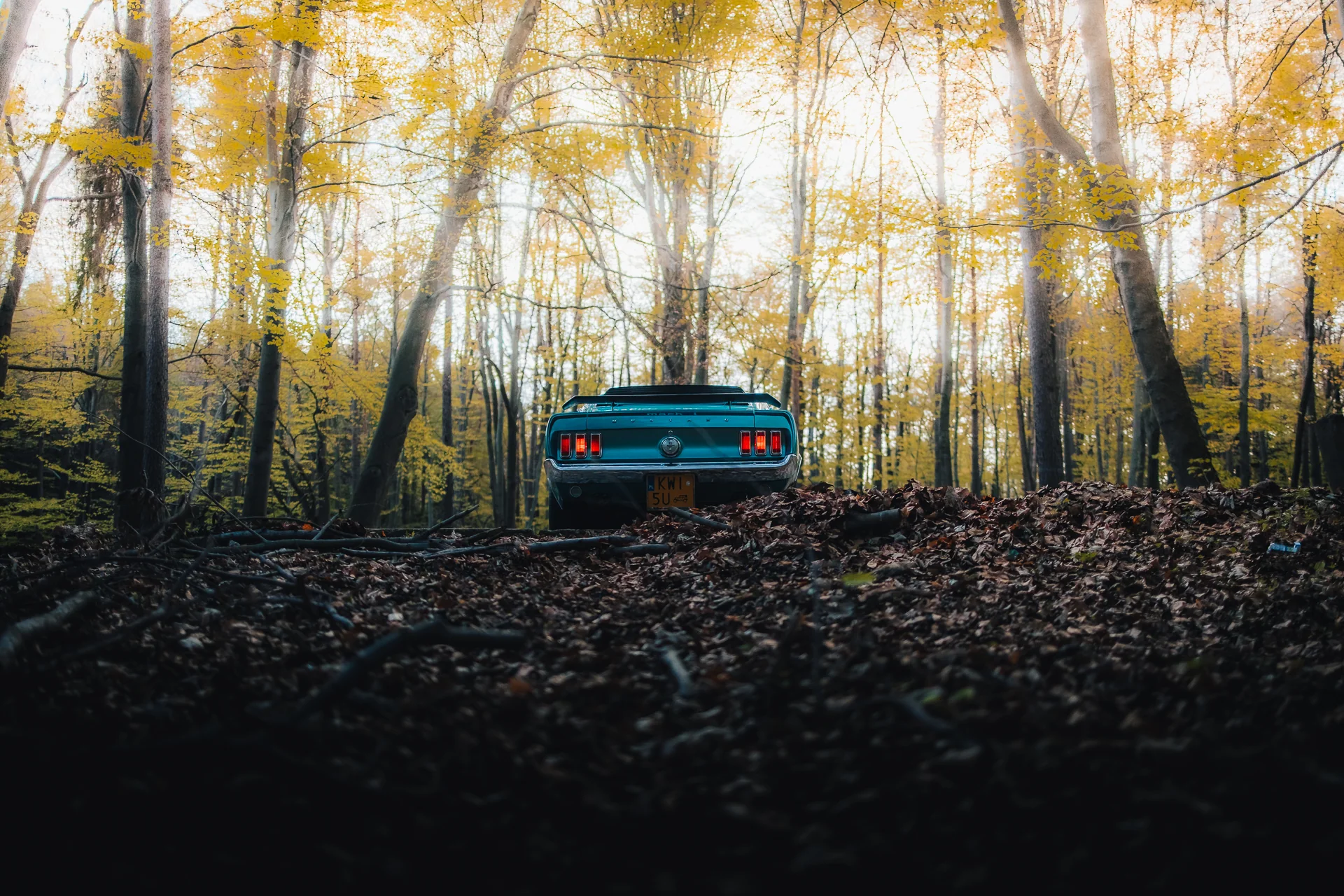 Two classic Ford Mustangs during a photo shoot