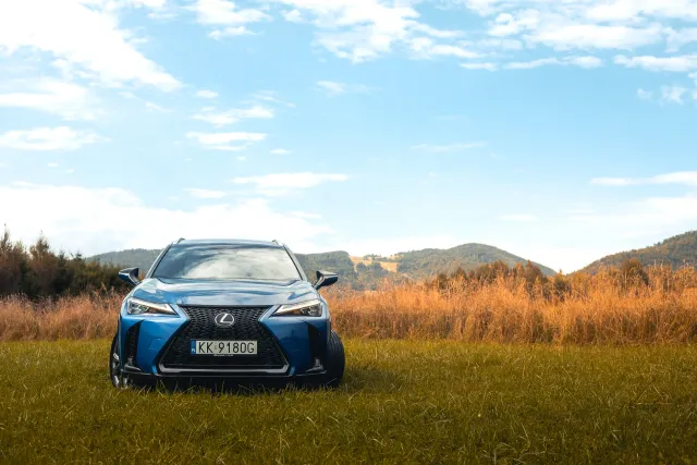 Photograph: lexus hotel klimek
