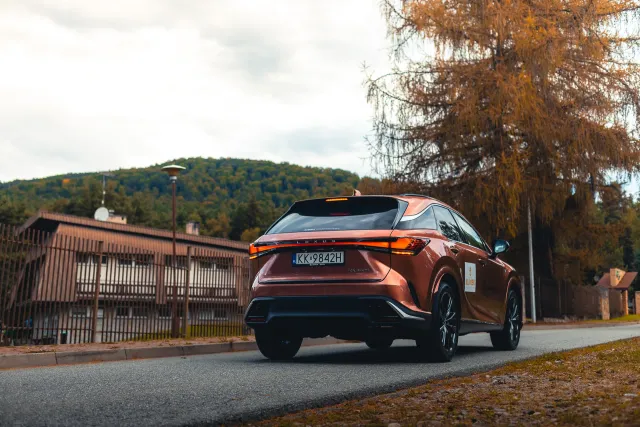 Photograph: lexus hotel klimek