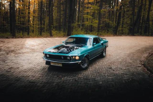 Photograph: mustang